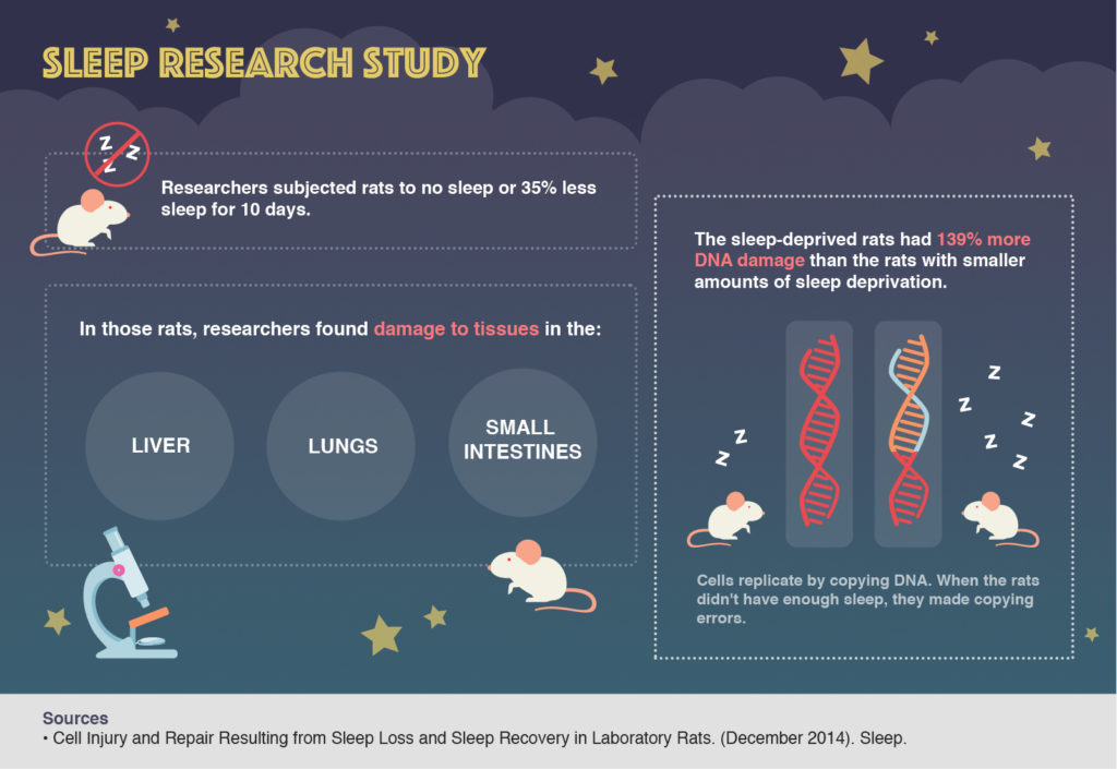 research on sleep demonstrates that